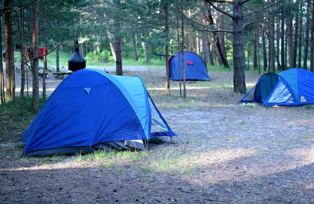 3 blue tents in the woods