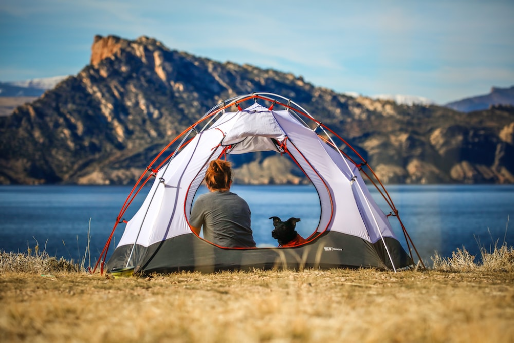 A woman camping in a tent with her dog
